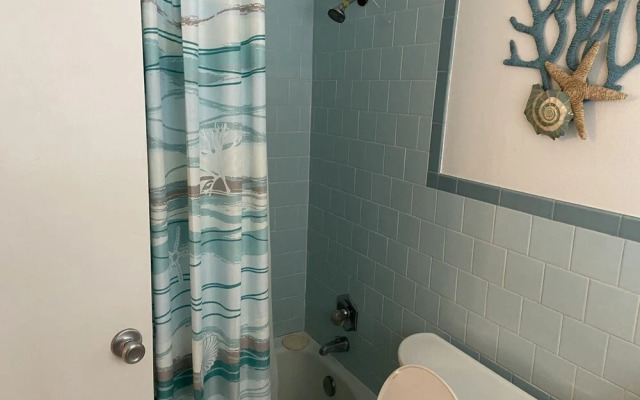 Holiday Court 05 - Dolphin