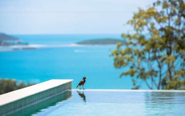 Modern styled 3 BR pool Orchid Villa