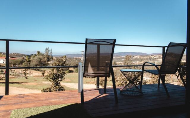 Palta 60 Valle de Guadalupe