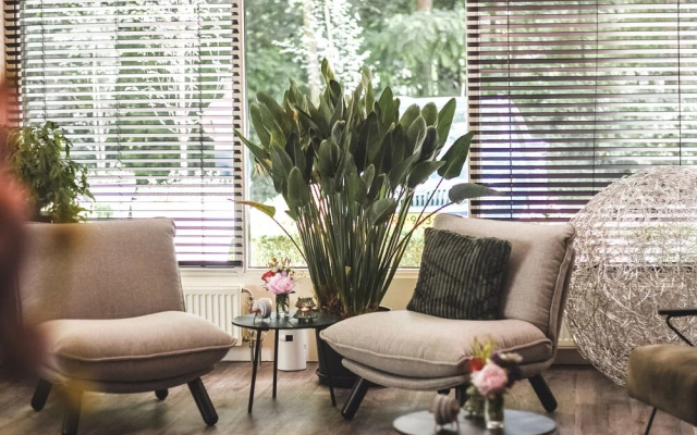 Witte Berken Natuurhotel