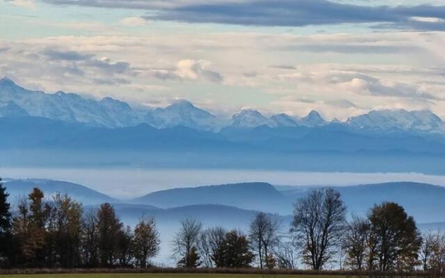 Bio- und Wellnesshotel Alpenblick