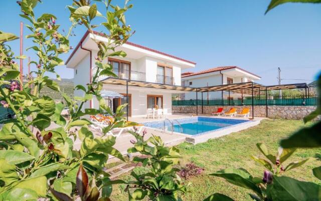 Kuytu Kas Homes