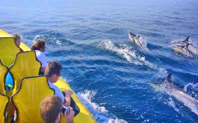 Penthouse Encosta da Orada