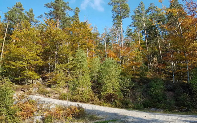 Stürmlesloch