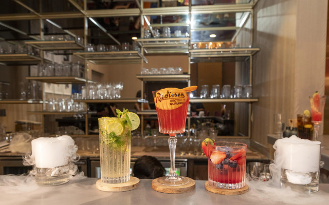 Radisson Hotel Sector 29 Gurugram