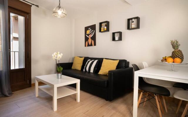 Apartamentos Terraza Ega