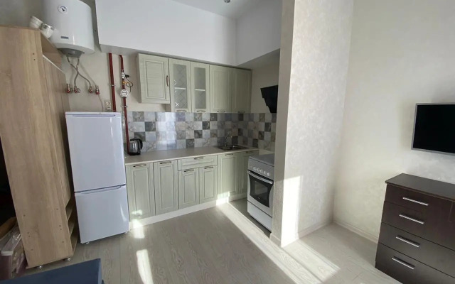 Апартаменты Pluton Aparts в СНТ Агро