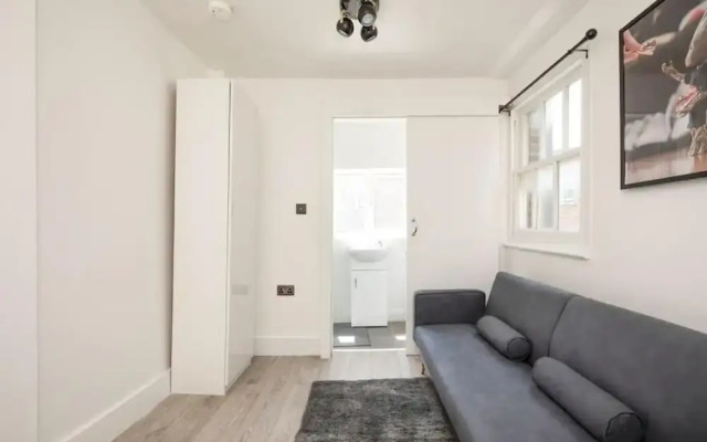 Spacious Serenity in the Heart of Central London
