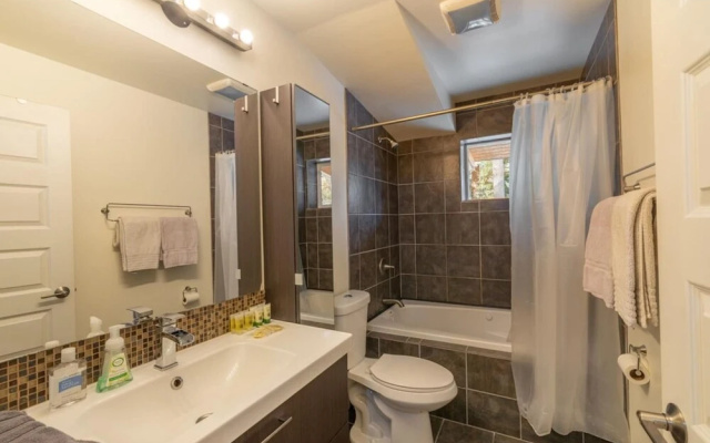 Truckee Contemporary Oasis