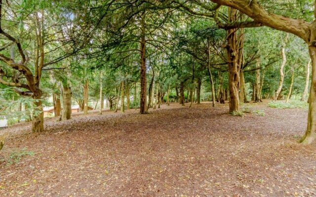 Sherwood Castle Holiday Forest