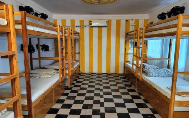 Jungle by sturmfrei Pushkar