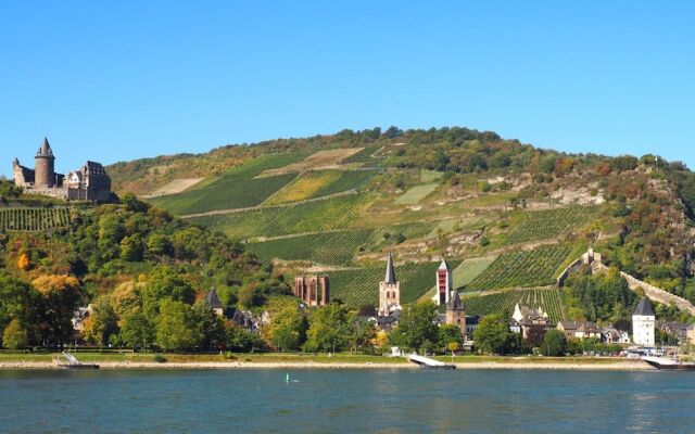 Gasthaus Weingut Stahl