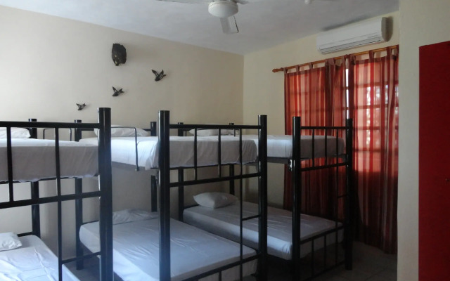 Hostel Paakal's