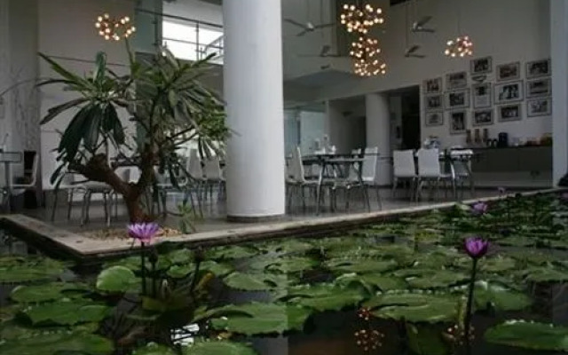 Purple Lotus Boutique Suites