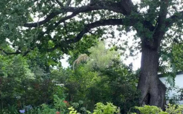 Winterson en Somerkoelte