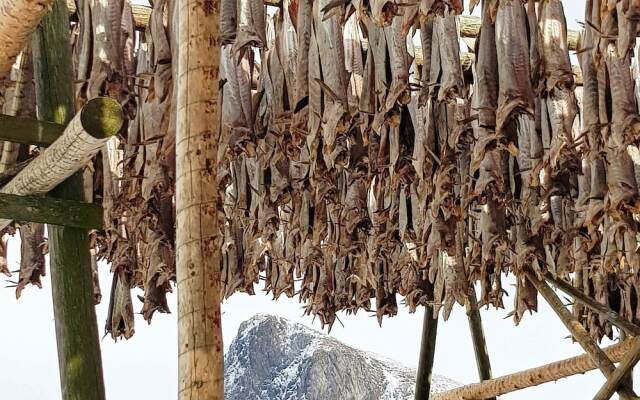 8 Person Holiday Home in Napp