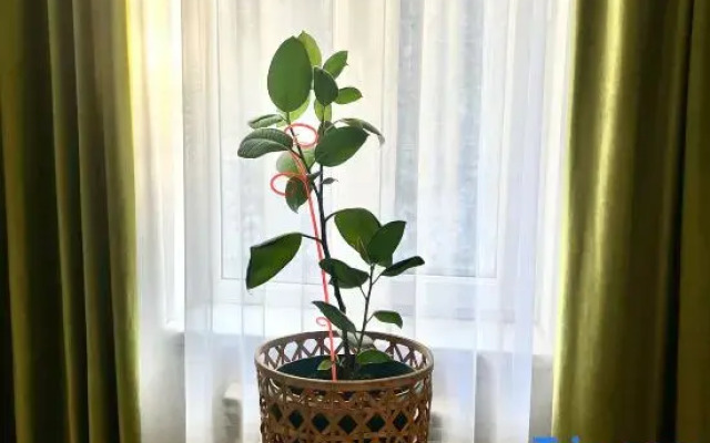 Ethno Adventure Camp