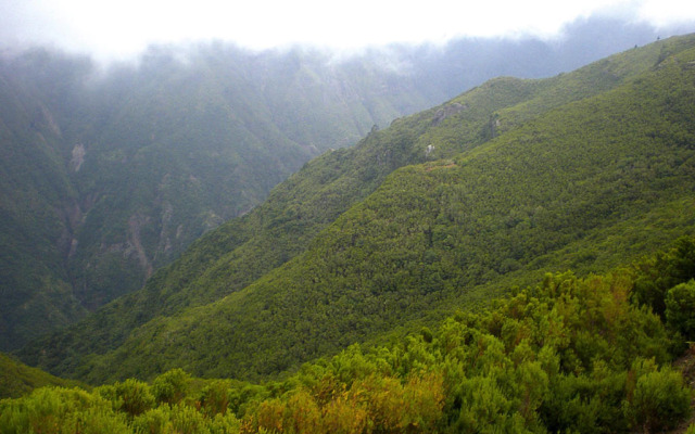 Holiday home, Ribeira Brava