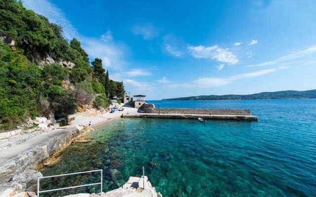 Apartment 2 - Kinder & Hunde Willkommen