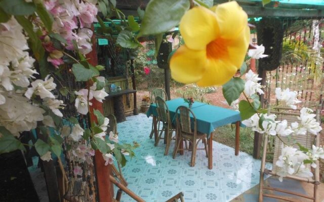 Jungle Flower Guest House