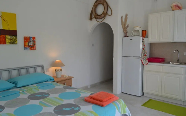 Tropical Gecko Studio