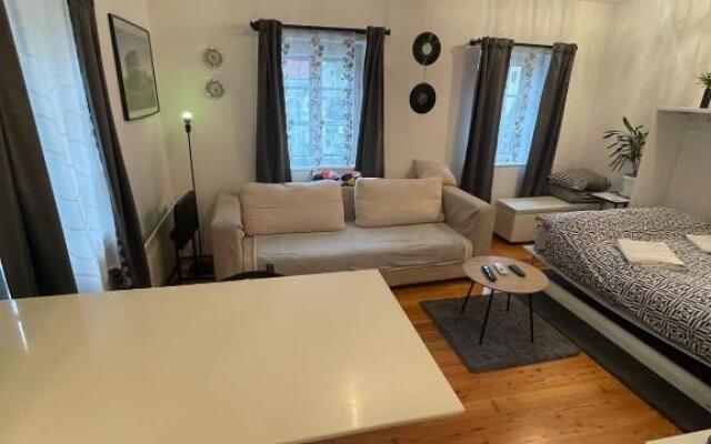 Apartment Tkalča