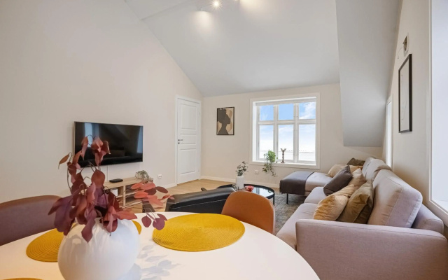 Unique and Spacious Apt close to City Centre