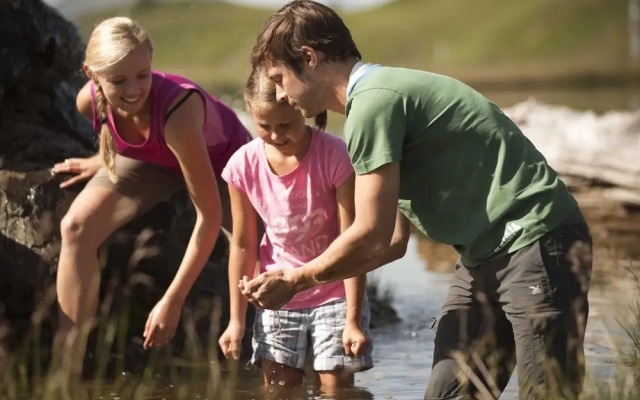 Spacious Chalet in Leogang near Ski Area