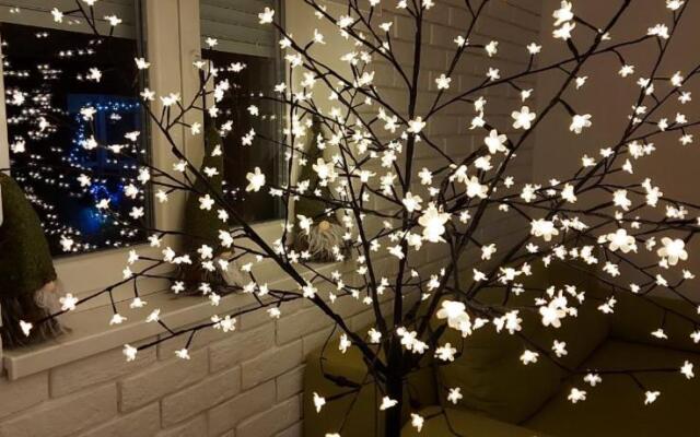 Apartment Ana, Vračar, Belgrade