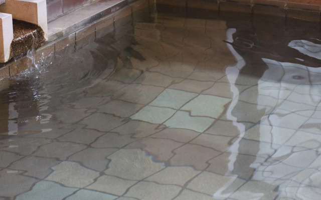 Nishidani Onsen Chuseikan