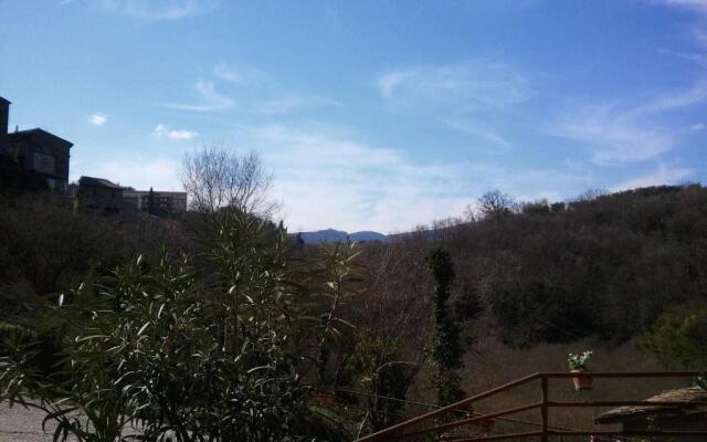 Torre Avellana