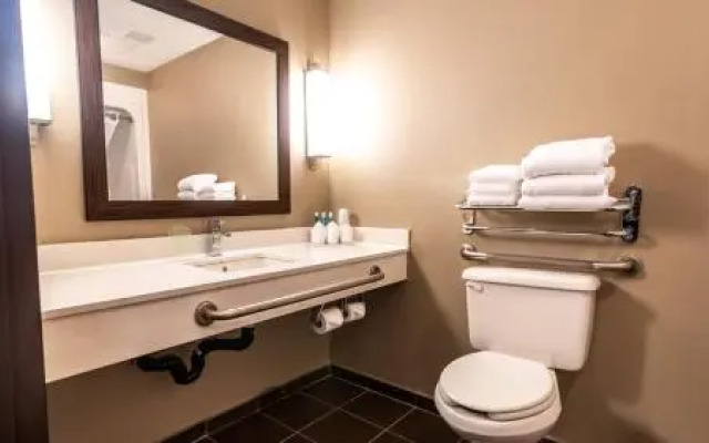 Holiday Inn Express Edmonton-International Airport