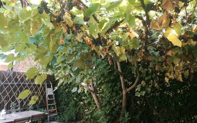 La Maisonette et son Jardin