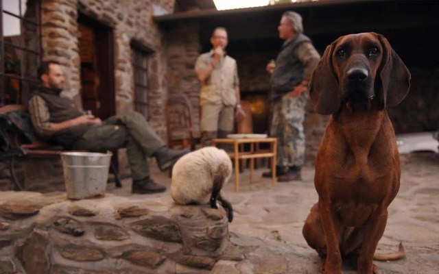 Leopard Lodge