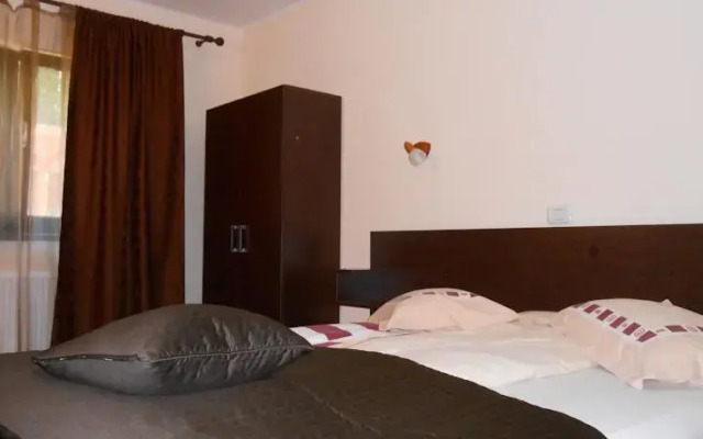 Pensiunea Domnitei Sophie