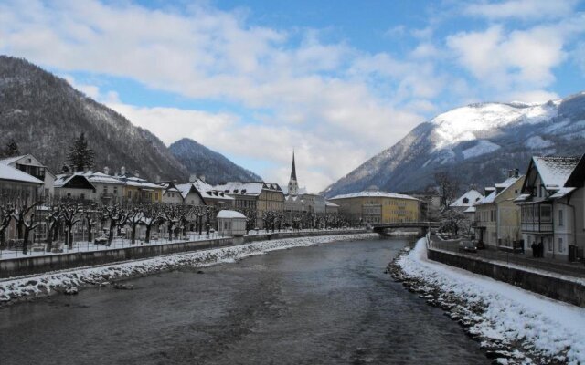 Alpenwiesen