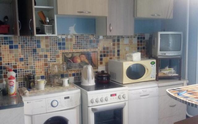 Apartment on Michurina