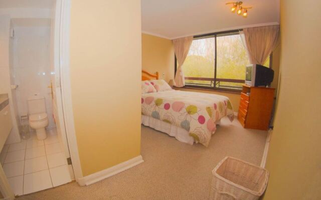 Departamento Cerro Pucon