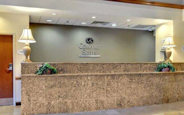 Comfort Suites University