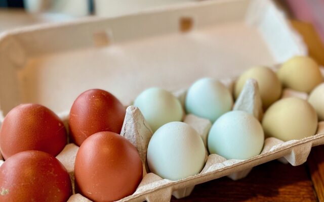 Letchworth Farm Guesthouses