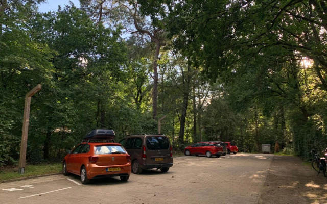 De Spitse Egel: ontdek de pareltjes in de natuur!