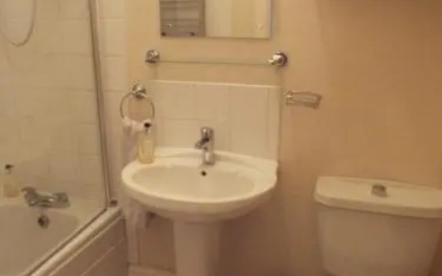 Stepping Stones (Adults Only)