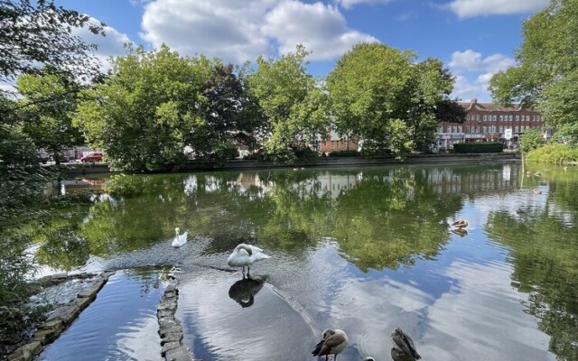 Immaculate 1-bed Apartment in Orpington