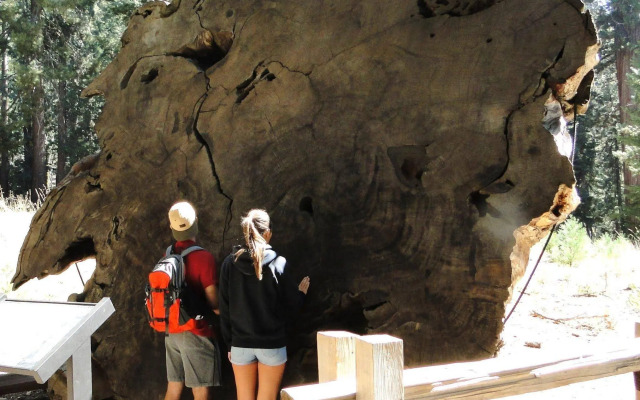 Best Western Americana