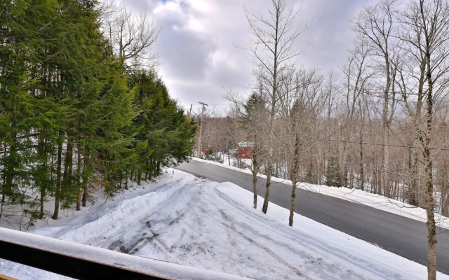 Shreadquarters 3 Bedroom Home