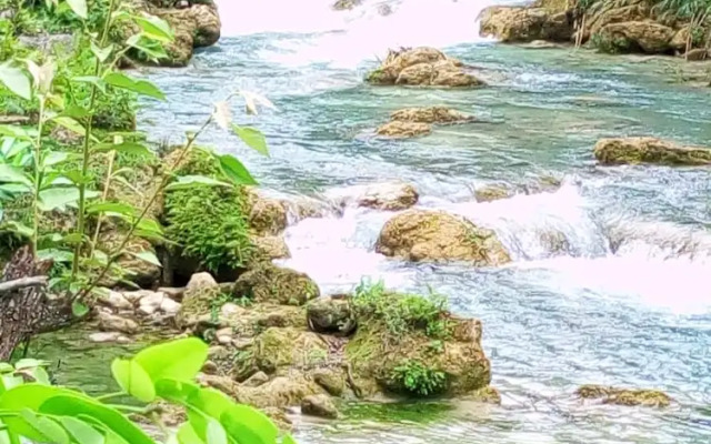 Room in Cabin - Cabanas Sierraverde Huasteca Potosina Highland Cabin