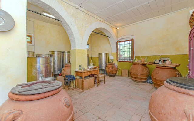 Fattoria Santo Stefano - Agriturismo