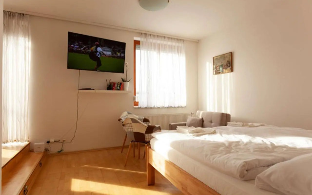 Vitkov Park Apartment