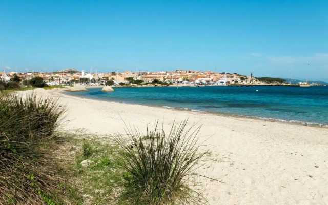 Mimosa Punta Sardegna