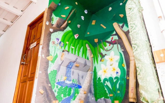 Casa Oro Eco Hostel